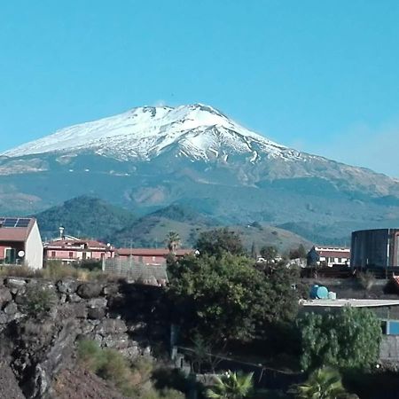 B&B Villa Salome' San Pietro Clarenza エクステリア 写真