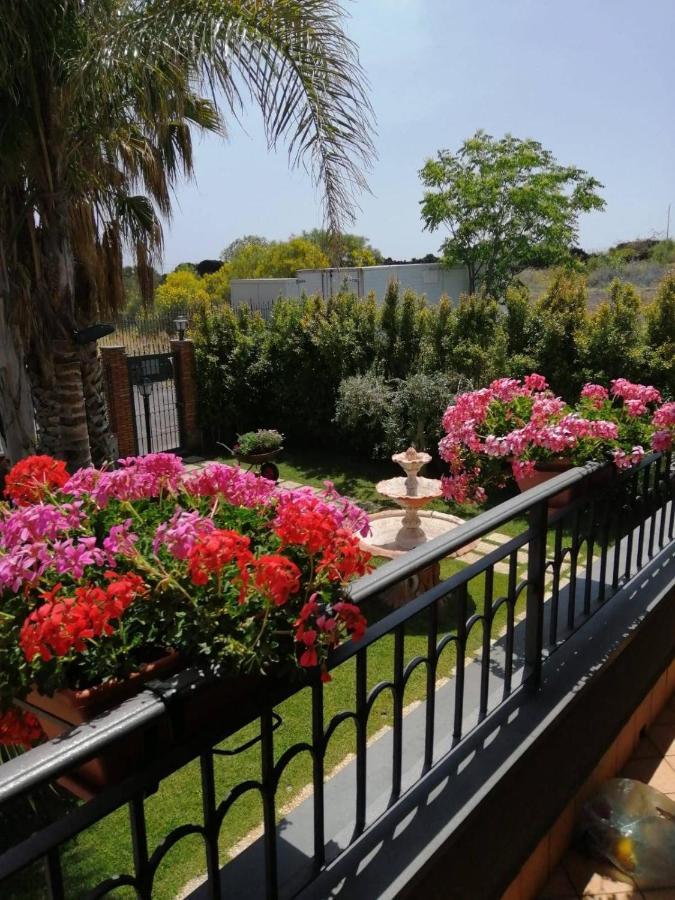 B&B Villa Salome' San Pietro Clarenza エクステリア 写真
